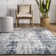 Abstract Gray Area Rug