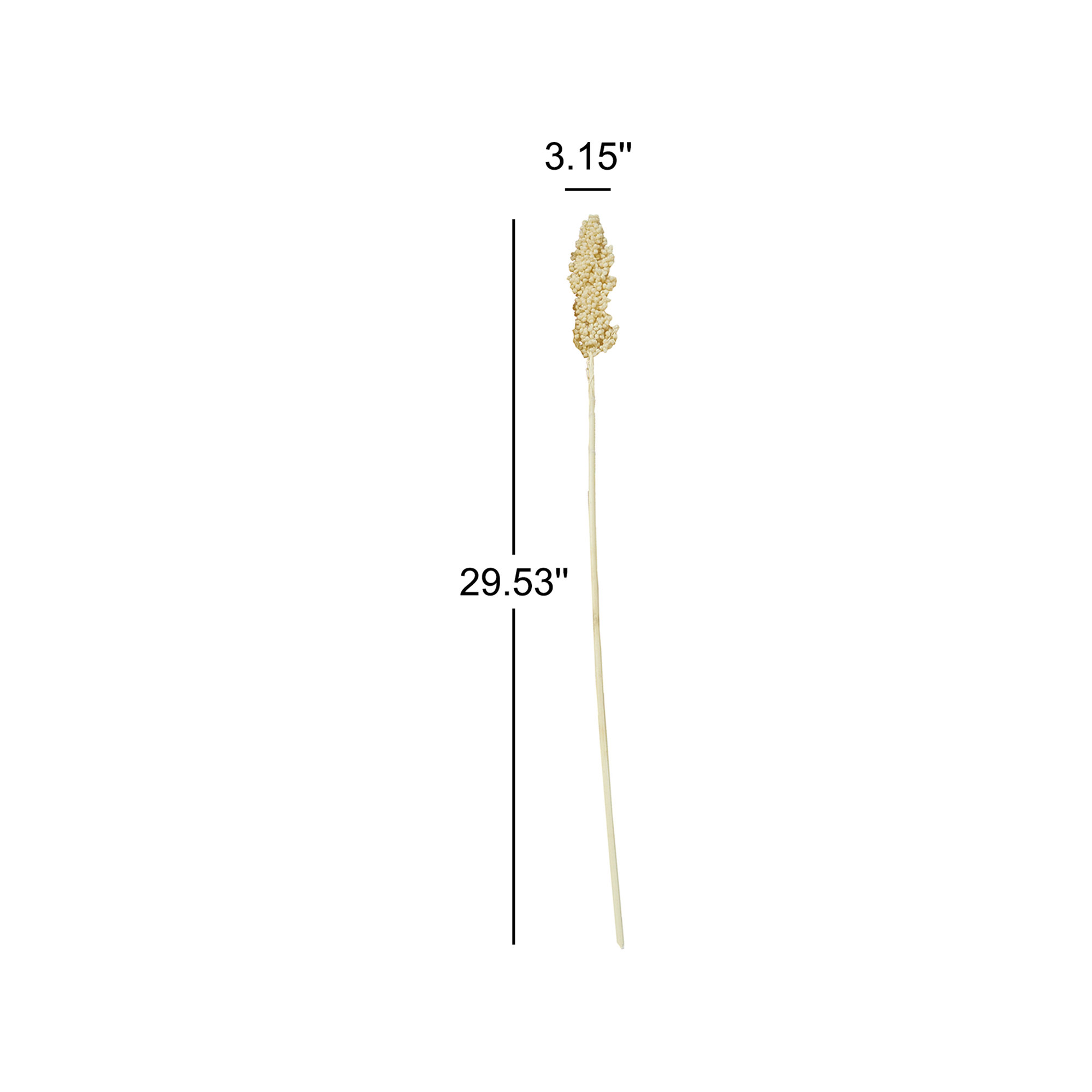 Clerkin Natural Dried Plant Floral And Botanical Artificial Foliage, Cream