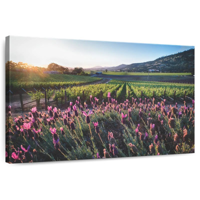 Alvord Napa Valley, vignes et fleurs