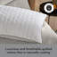 Sealy Deeply Full Pillows 2 Pack