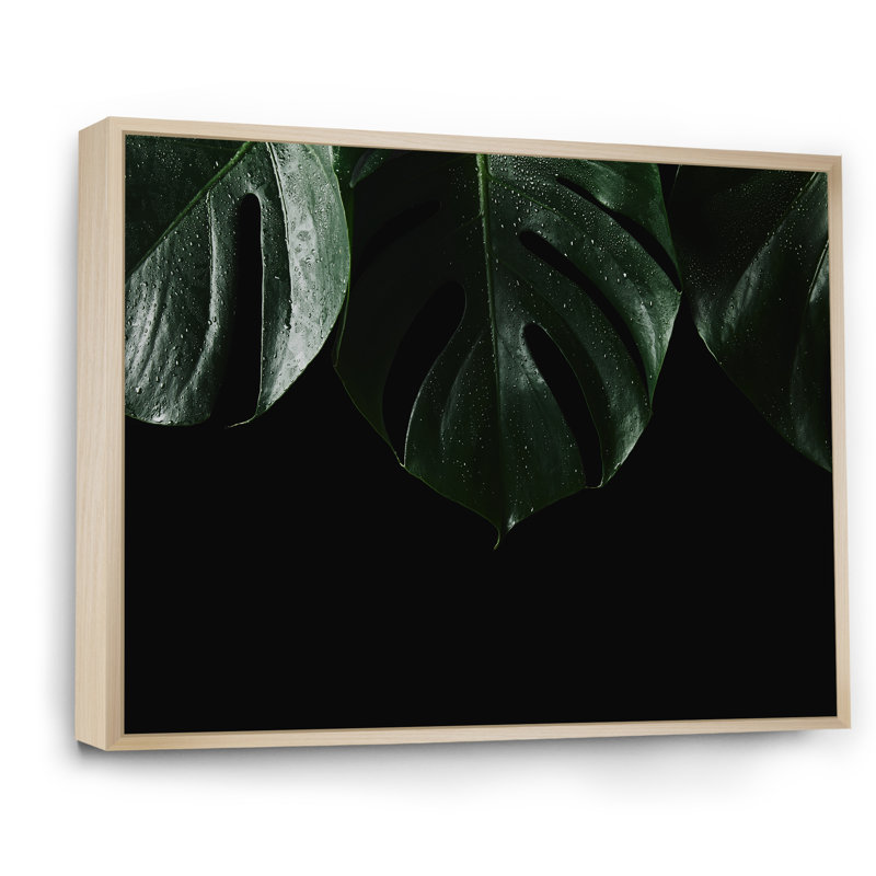 Gros plan sur les feuilles vertes - reproduction d'art moderne sur toile