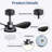 24" Small  Ceiling Fan With Light Remote Control ,Modern Low Profile Black Ceiling Fan, 6-Speeds Quiet Reversible Dc Motor  For Bedroom,Kitchen