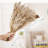17 " H Faux Pampas Grass