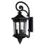 Raley 3-Light Outdoor Wall Lantern-1921132638