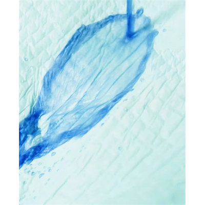 Tapis pour chien (ensemble de 40)