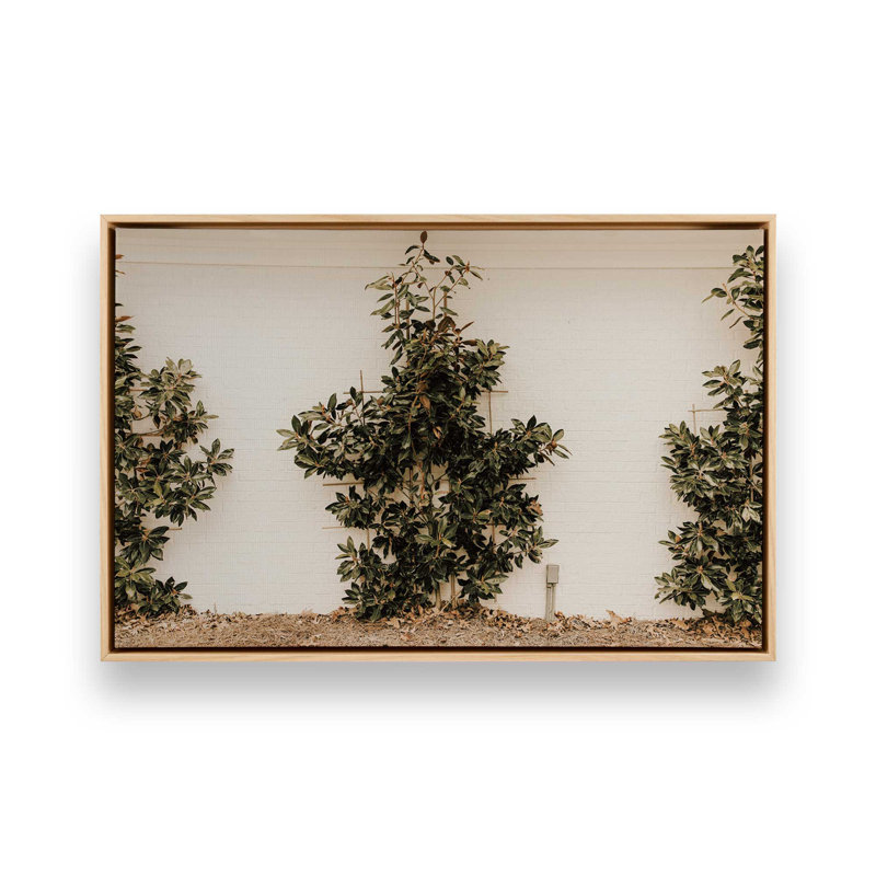 «Green Embrace», reproduction sur toile, Érable américain encadré, H 24,75 po x l 36,75 po x P 1,75 po