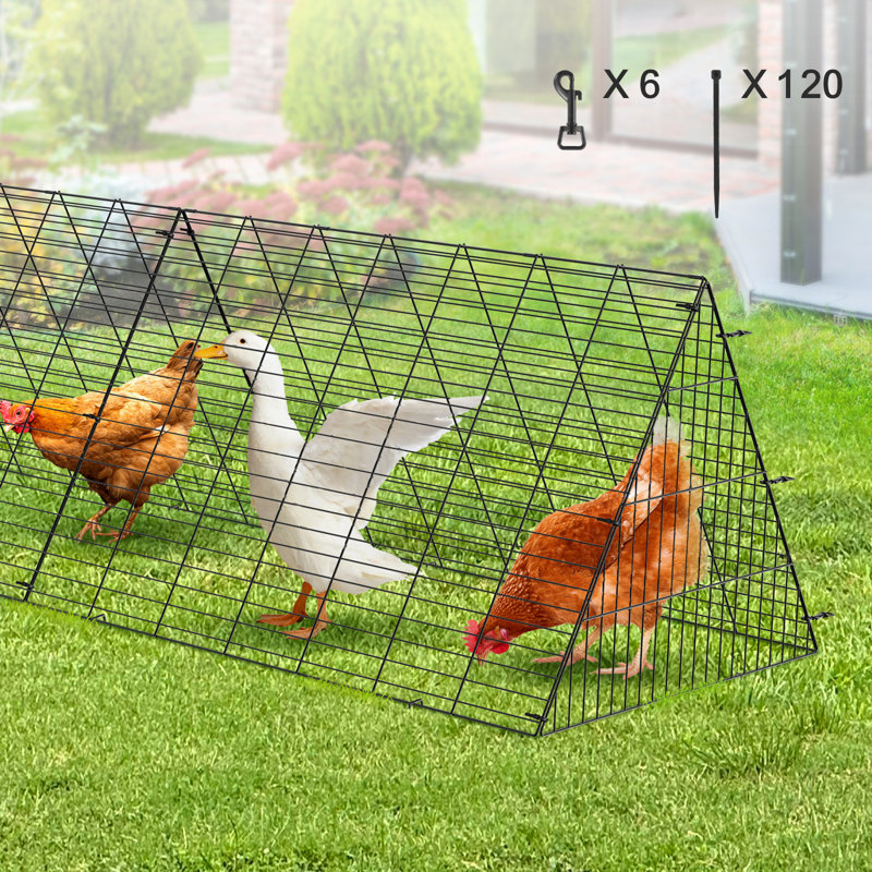 Chicken Run, 61cm H x 599.4cm W x 398.8cm D