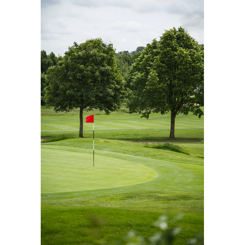 Golf Course by PaulMaguire - Wrapped Canvas Print, 46cm H x 30cm W