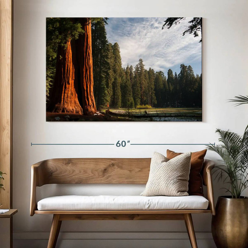 Harnek Kings Canyon Sequoia Trees