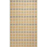 Plaid Area Rug in Beige