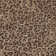 Machine Washable Indoor/Outdoor Claudian ACN1230 Brown Rug