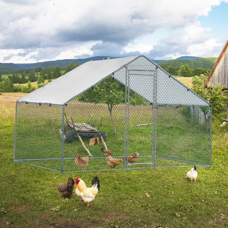 Cammock 65m² Chicken Coop