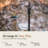 Carice Freestanding Decorative Bird Feeder