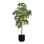 TREE MONEY POT 7FT
