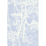 Cow Parsley Floral Wallpaper Roll
