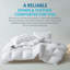 RDS Certified Down Feather Comforter, Organic Breathable Duvet Insert with 4 Corner Ties-133599026