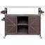 Îlot de cuisine extérieur avec armoire de rangement, plateau en acier inoxydable et support à épices pour barbecue