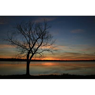 Dura Silhouette - Wrapped Canvas Print
