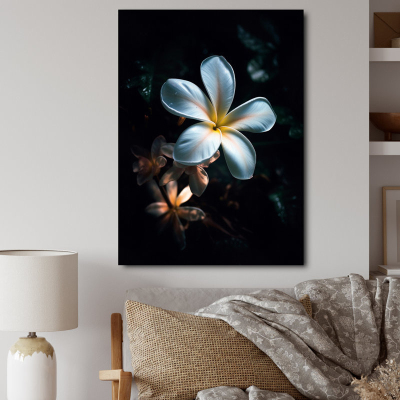Blanc et noir exotique Plumeria Bloom III, H 32 po x l 24 po x P 1 po, Toile tendue