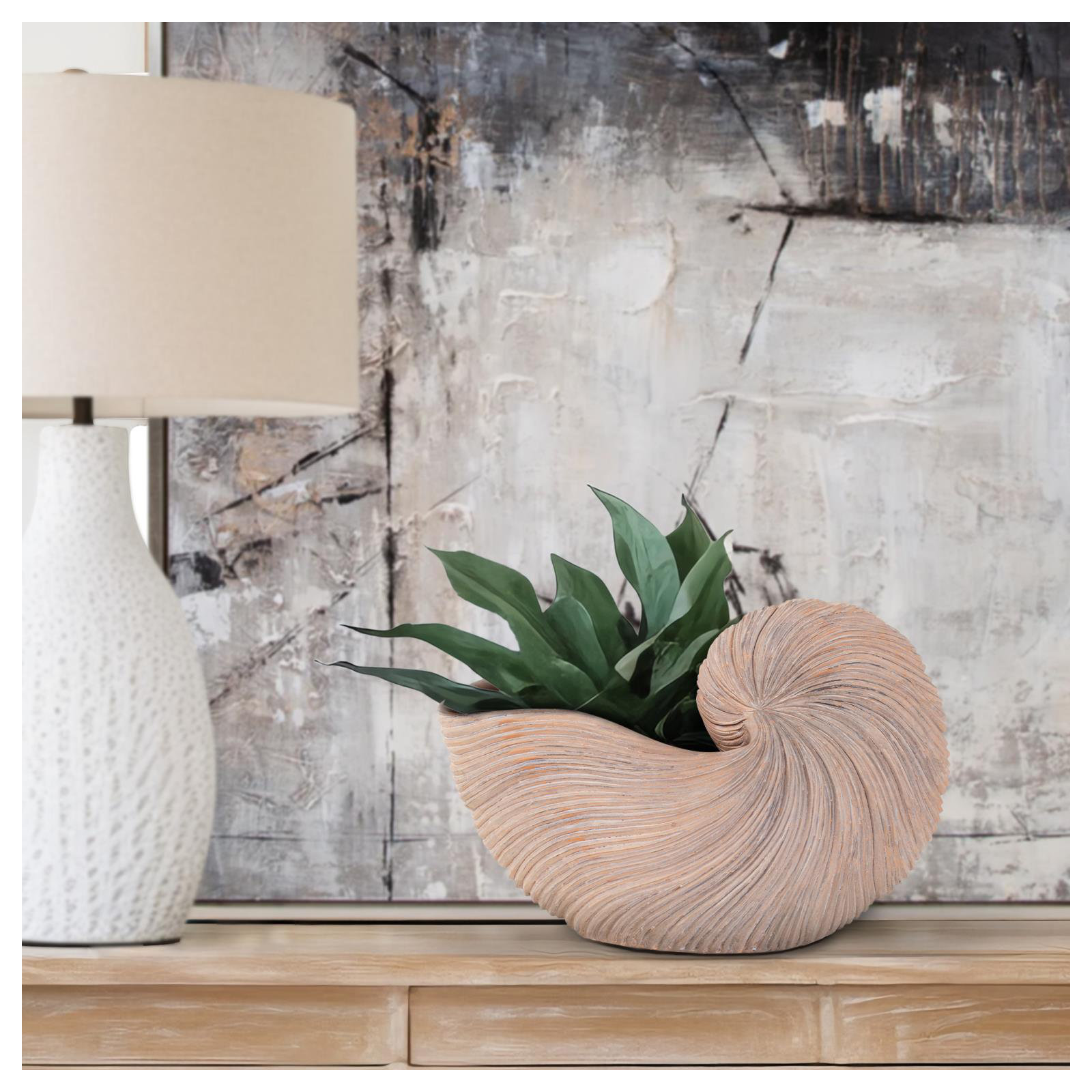 Nautilus Shell