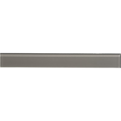 Charm School 2'' W x 16'' L Glass Subway Singular Tile