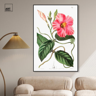 Reproduction d'art sur toile, Mandevilla Bloom