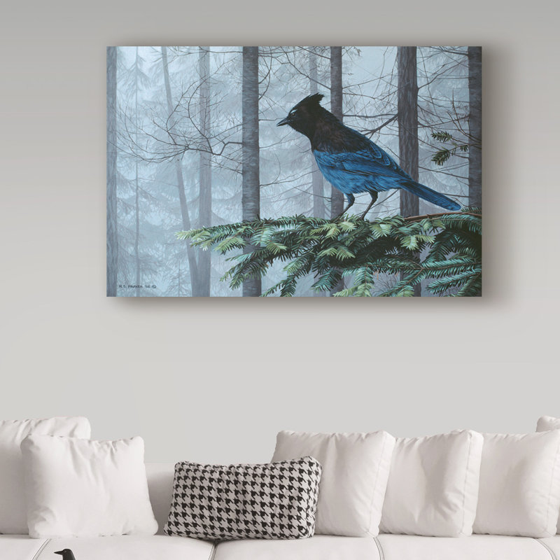 «Steller Jay In Fog» par Etelca, impression sur toile tendue, H 16 po x l 24 po x P 2 po