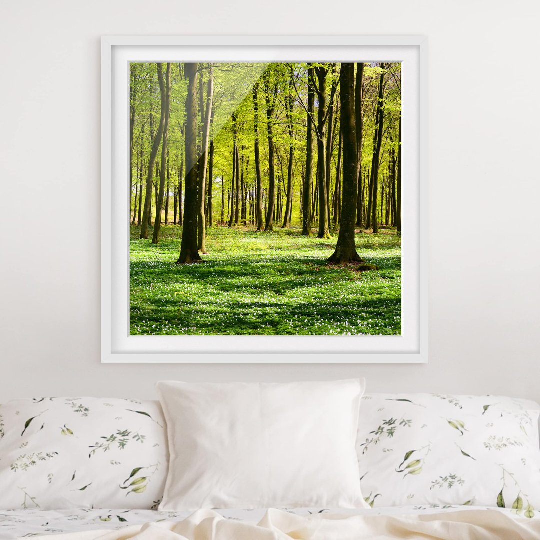 Gerahmter Fotodruck Forest Meadow