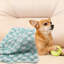 Couverture pour animaux-105792781-105792782