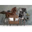 Papier peint amovible 3D 3D-720489649