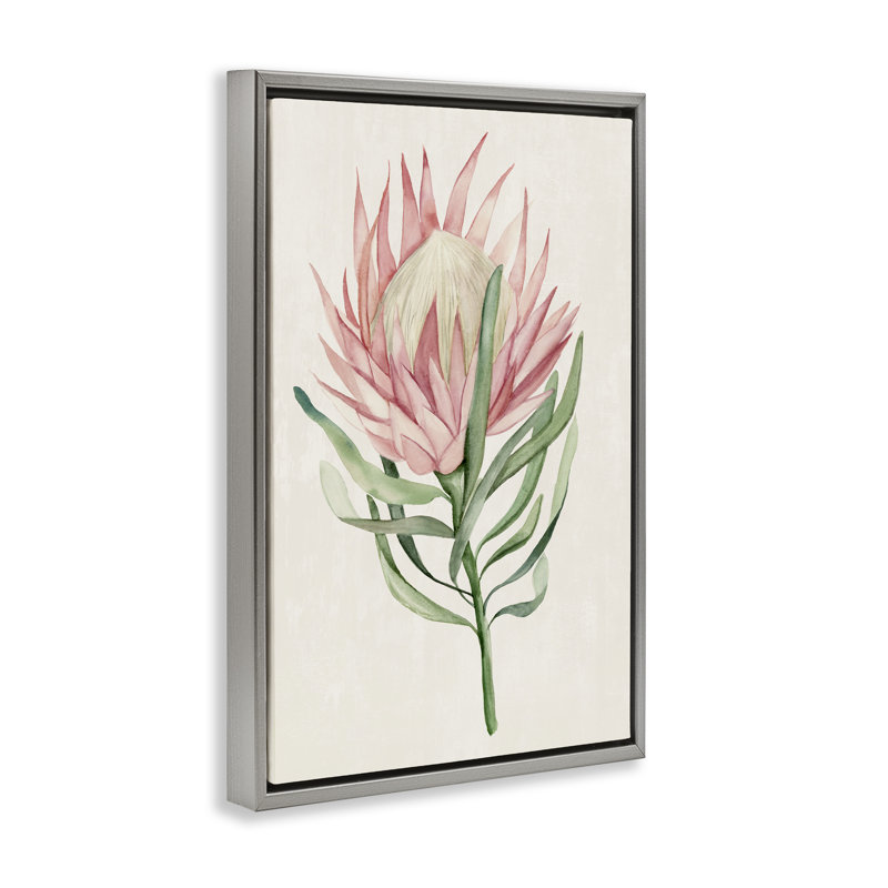 Cadre flottant à motif de fleurs tropicales exotiques, par Hannah Dawson, H 31 po x l 21 po, Cadre flottant gris lustré