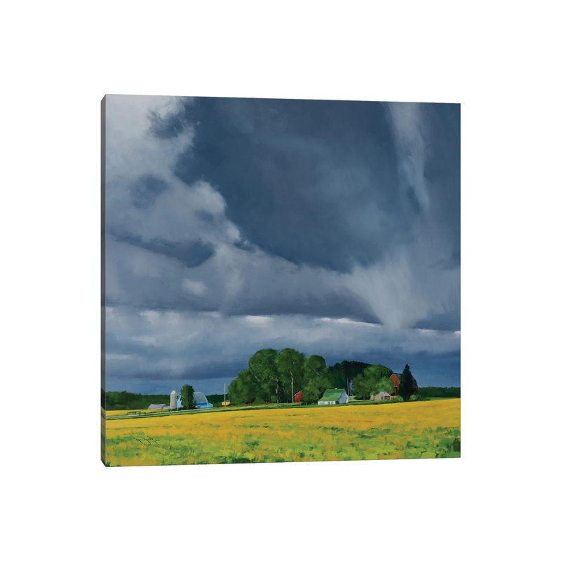 Late Summer Soybeans Ellsworth WI by Ben Bauer - Wrapped Canvas Print, 45.72 cm H x 45.72 cm W x 1.91 cm D