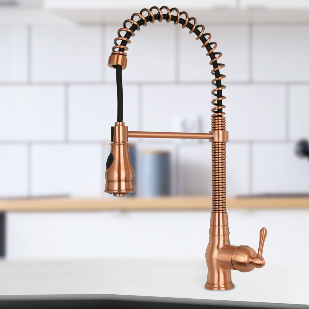 Spring Single Level Solid Kitchen Sink Pull Down Single Handle Kitchen Faucet Nauxus 