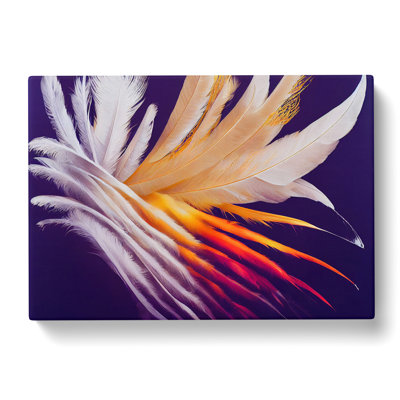 Quality Bird Feathers - Wrapped Canvas