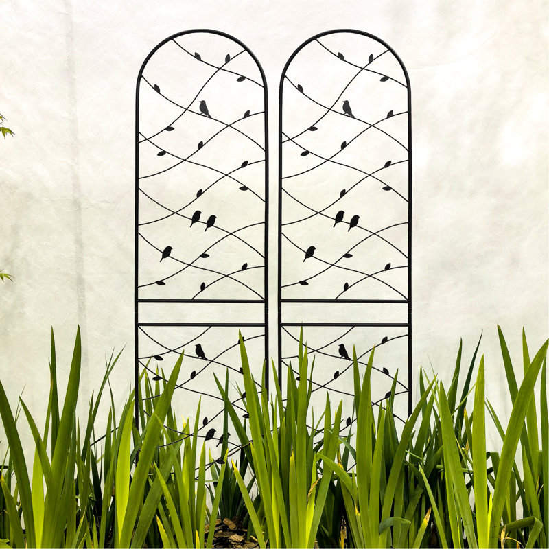 Treillis de jardin en métal antirouille 86,7 po x 19,7 po, pour plantes de raisin, moustiquaire d'extérieur, lierre noir, support de fleurs