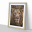 Face of a Lion - Picture Frame Painting-62802815-62802817