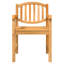 Colynn Patio Dining Armchair