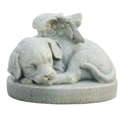 Chien de sympathie