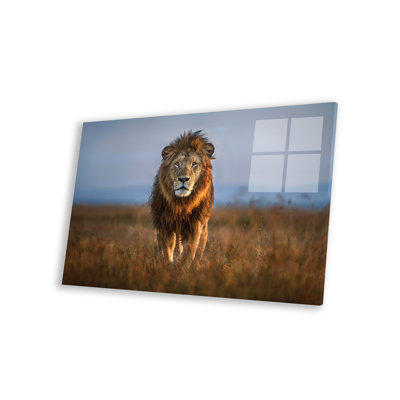 «Kveon Lion Close Up» par Xavier Ortega