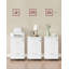 Chandrine 45cm Wide 2 -Drawer File Cabinet