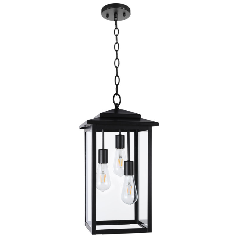 Birten 3 - Light 20.9“ H Outdoor Hanging Lantern, Matte Black
