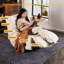 Fauteuil inclinable en tissu de conception ergonomique-2022953467