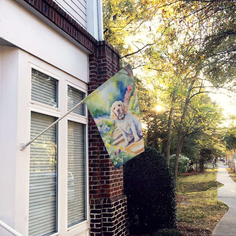 Aiko Double Sided 40'' H x 28'' W Polyester House Flag