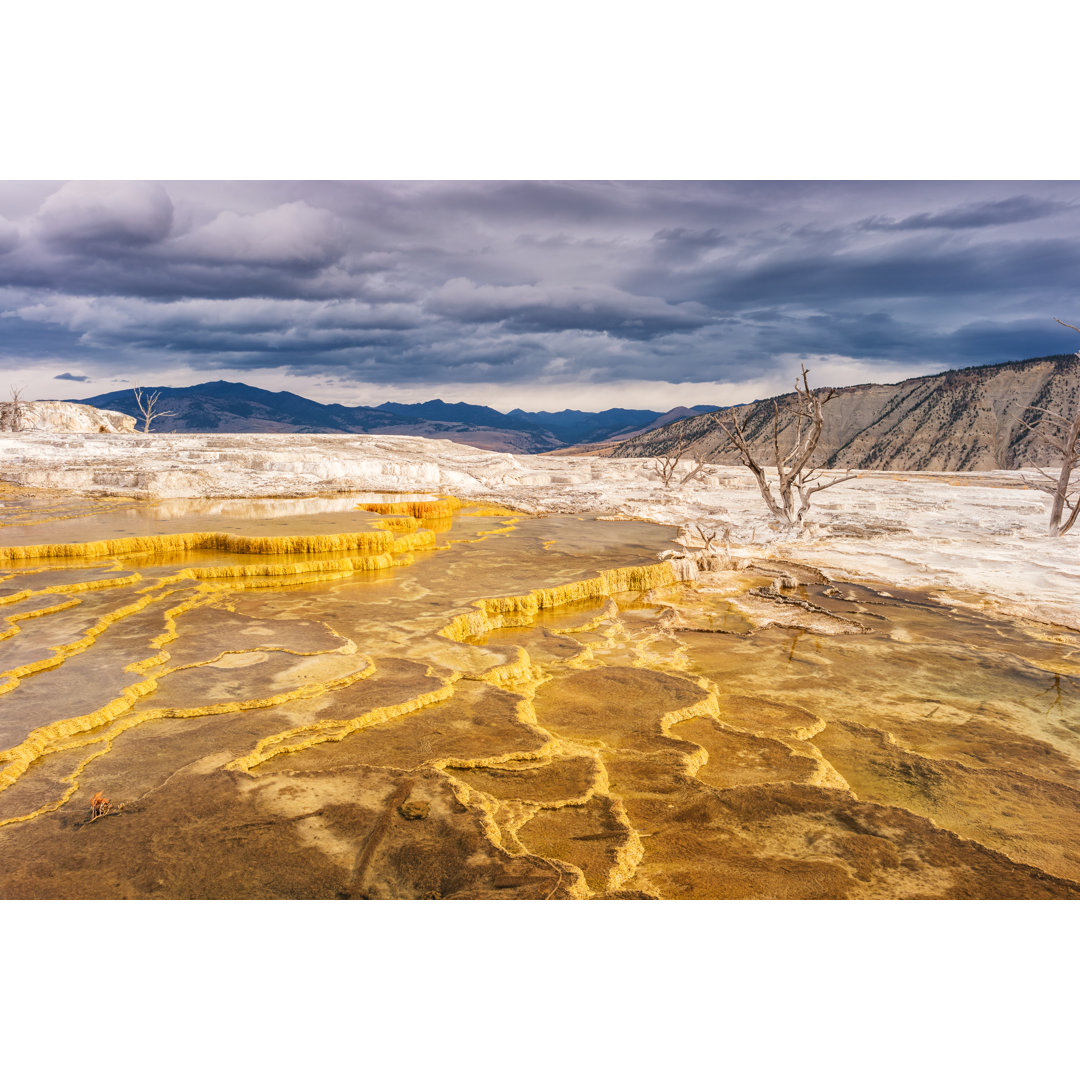 Mammoth Hot Springs von Benedek - Druck