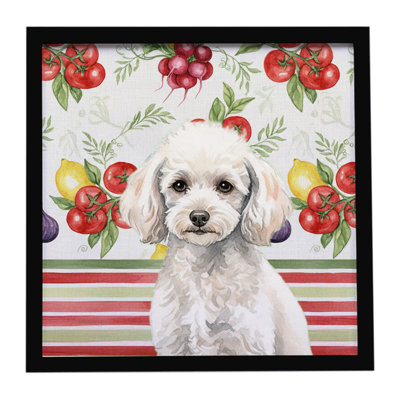 Miniature White Poodle Vegetables Framed Metal Print