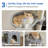 Dandry 70.1'' H Cat Tree-204795766