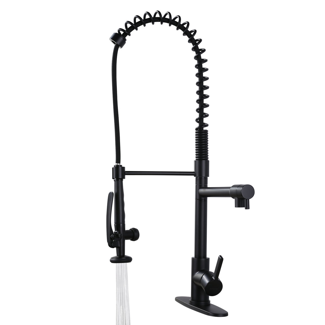 Spring Pull Down Single Handle Kitchen Faucet with Deck Plate and Handles WOWOW 