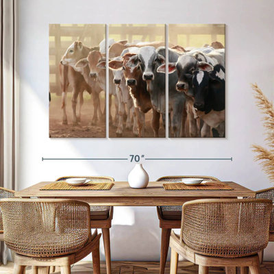 Vache Jersey