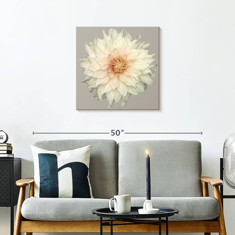 Harnek Blooming Dahlia