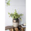 Vase d'appoint 13 x 13 x 16 po
